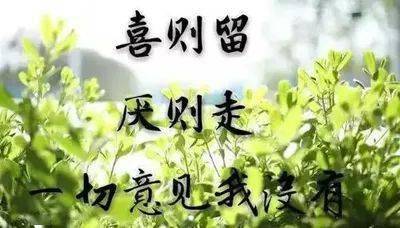 f09e3b64bf2a47928d2e1eaa0a03df8b.jpeg