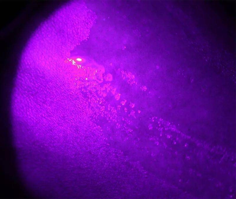 圣雪兰|快扔掉你的睫毛膏 ！这支睫毛增长液亲测有效 ！