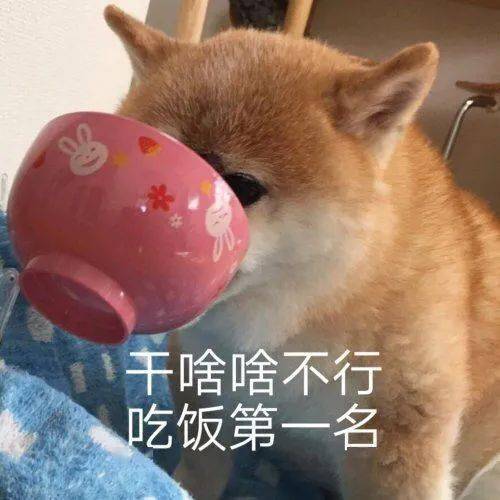e1d174fbb0b04b808fffbfec001a6a3a.jpeg