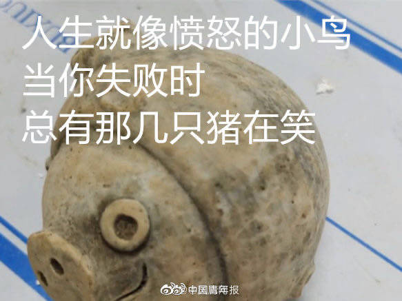 网友|顶流来了！3200年前的小猪猪上热搜！网友：似曾相识...