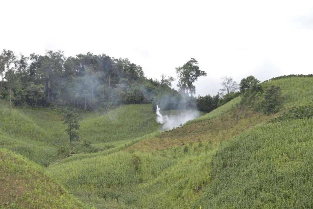 勐腊有多少人口_勐腊茶区有哪些山头(3)