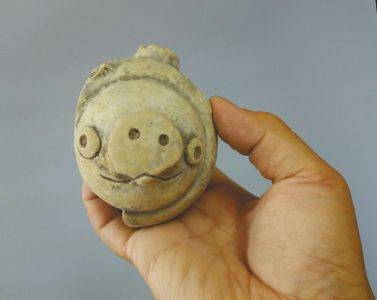 愤怒的小鸟|《愤怒的小鸟》同款“猪”出土 呆萌可爱引热议