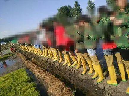 农学|农学，真的是劝退专业吗？