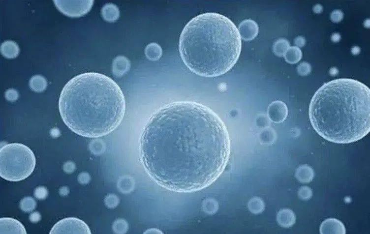 真就|测评｜全网口碑炸裂的小棕瓶，真就那么好用？