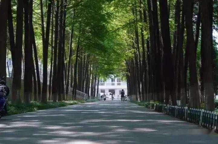 信阳师范学院发起了位置共享