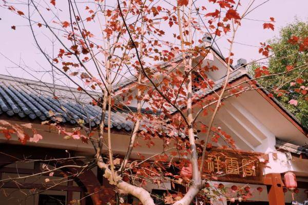 通知书|久等了！湖南大学录取通知书请查收！