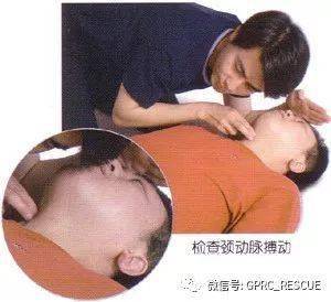 6e32c4eee5714a17b3a7bae38636aef7.jpeg