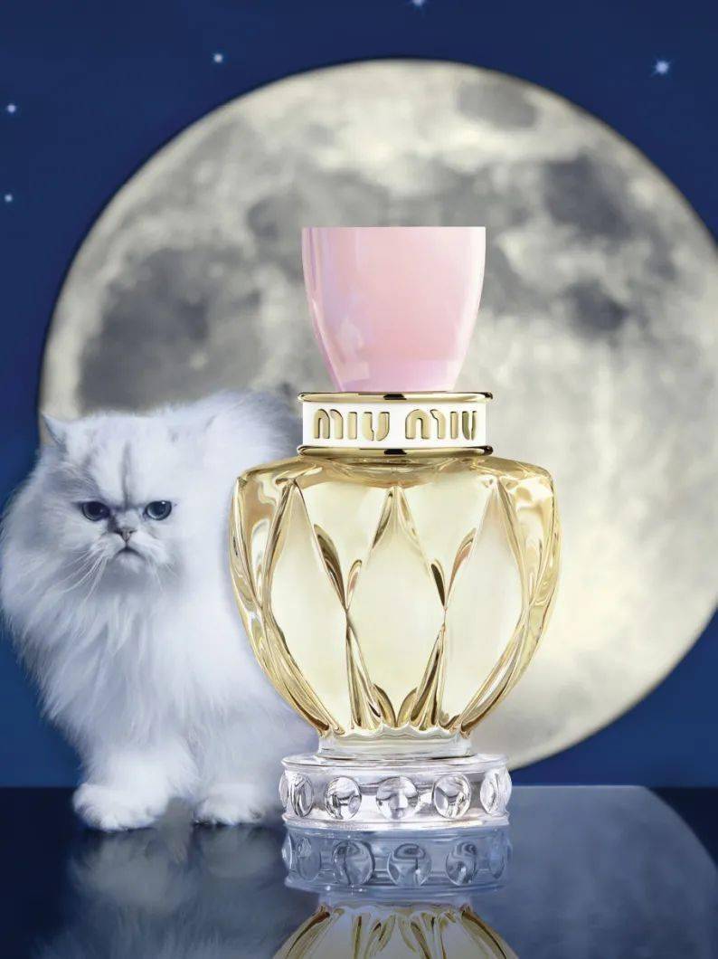 #Mad|礼物已经选好,姐姐们何时才能认识我?!