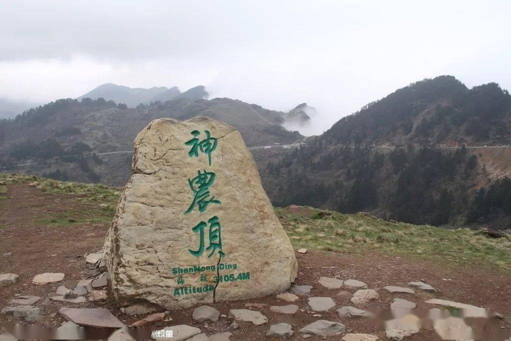 分为小龙潭,金猴岭,风景垭,了望塔和板壁岩五个景点.