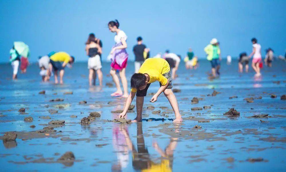 【聚焦】海景民宿,休闲海钓…海南解锁休闲渔业"新玩法"