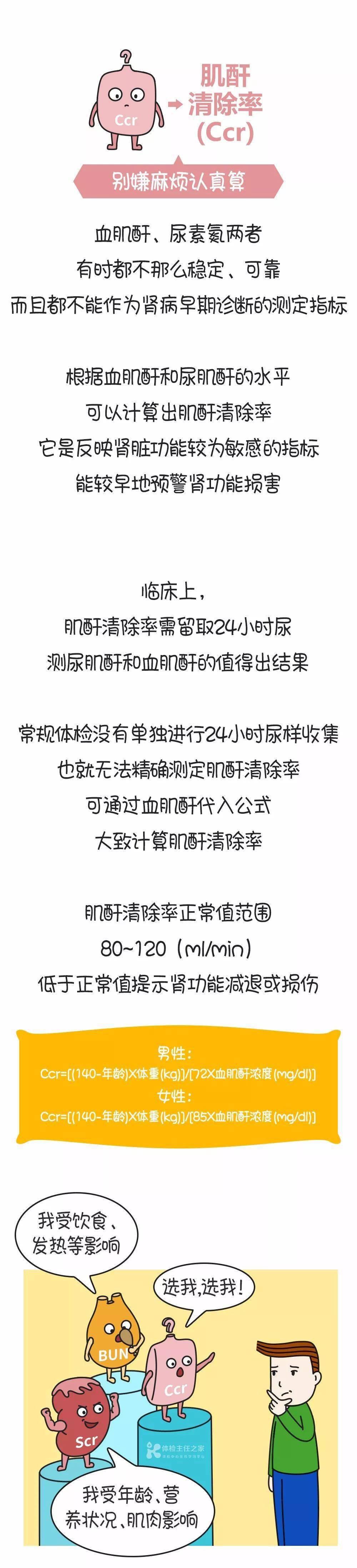 肾脏|肾功能指标主要看肌酐？错了！