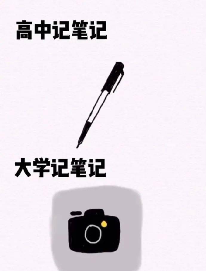 区别|高中和大学的真实区别？太真实了~