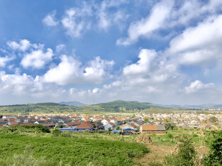 田横镇里栲栳村