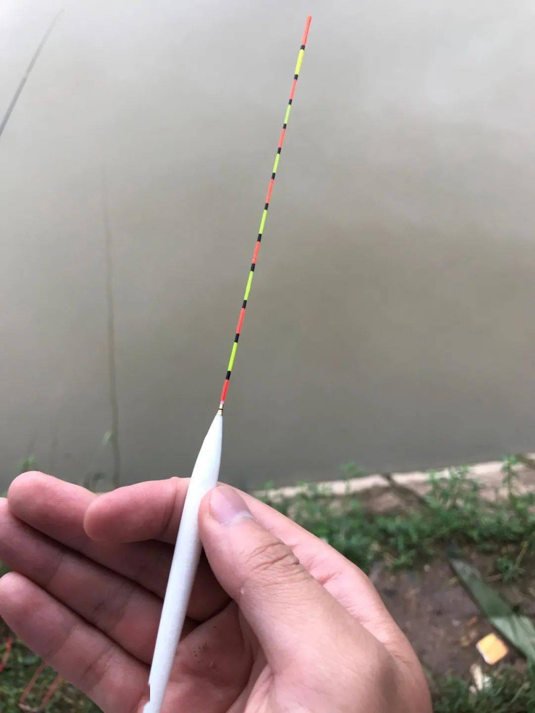 51023d9bb145442dab49923ac0187c7f.jpeg