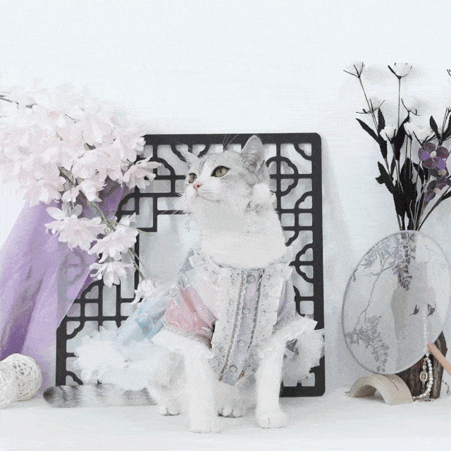 造物|重磅！淘宝造物节开始，公布青年创造力6大趋势