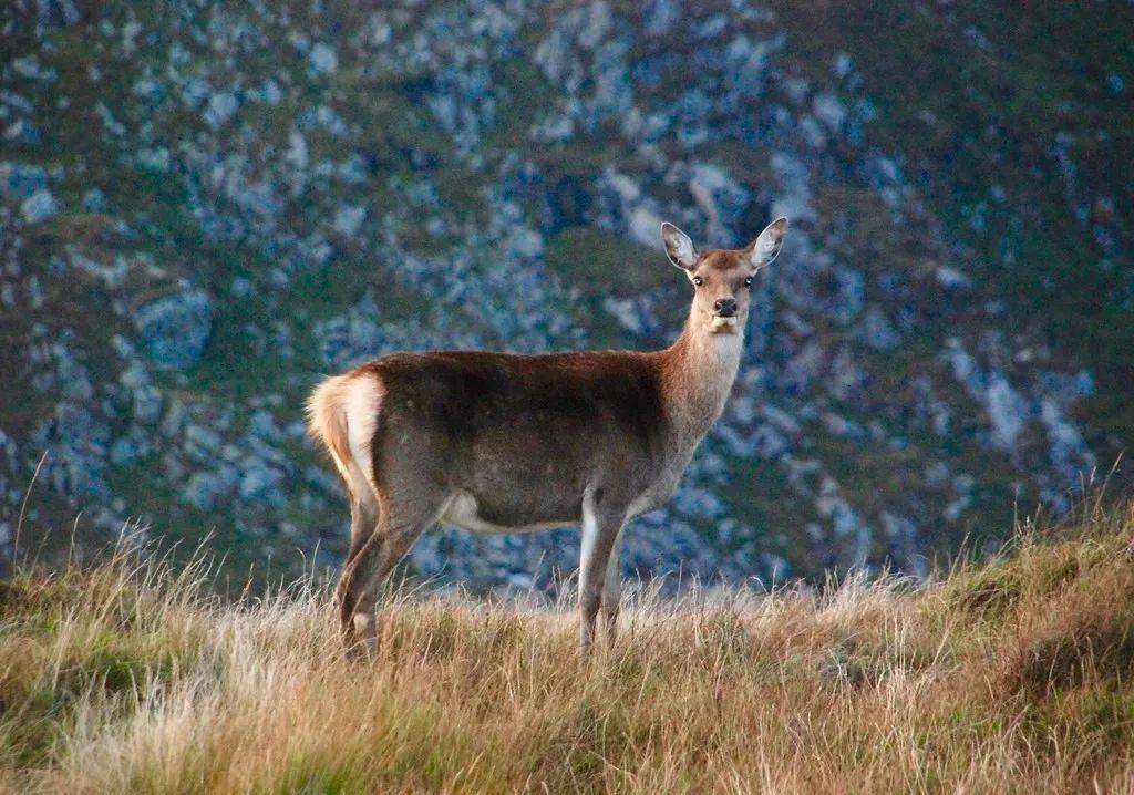 皱纹|抗皱抗衰老还在打针?用它赶走三八脸、鱼尾纹,让小朋友见到你都喊姐姐!