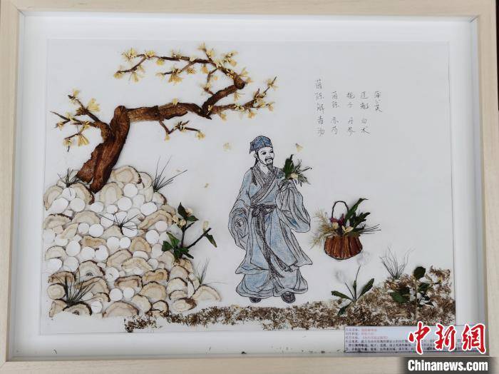 散发中药香味的画 高校办中医药创意作品展