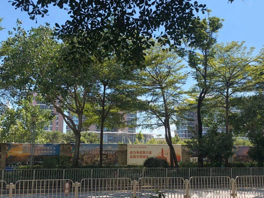 实探宝中6大神盘!泰华梧桐聚落、新锦安三期、盛意家园最新进度曝光!_开盘
