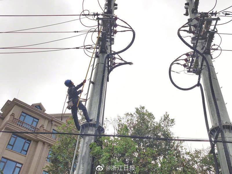 台区|浙江全省超百万电力用户因台风停电，正全力开展抢修