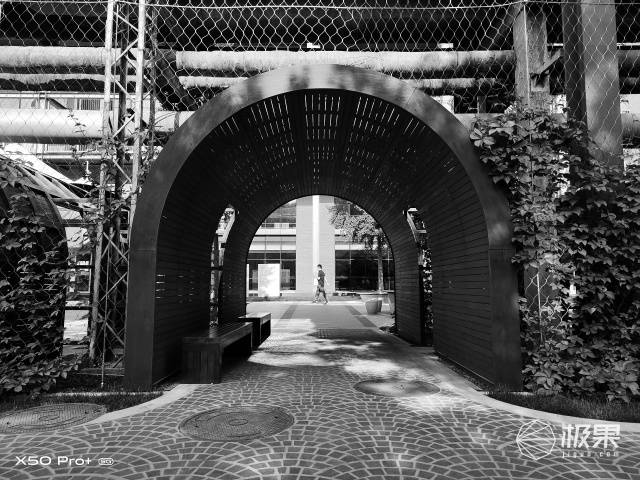 vivo|vivo最强拍照旗舰体验！你与好照片只差一台X50 Pro＋