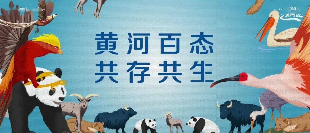 我的家在那黄河边简谱_我的黄河我的家简谱