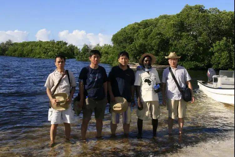 中国|从肯尼亚沿海出土中国瓷器看古代海上贸易兴衰变迁