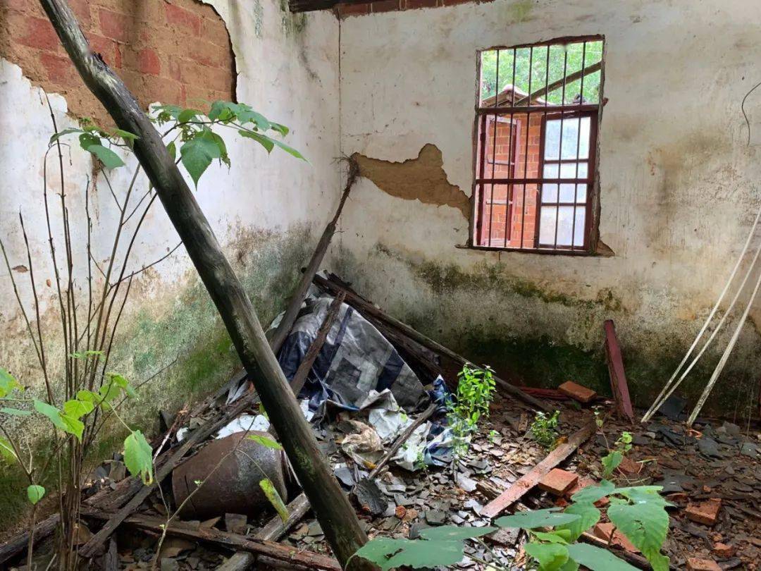 老宅|被羁押9778天后，张玉环无罪释放