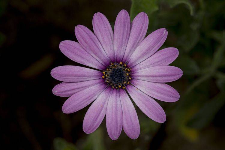 panda sports_
在外雷厉流行 资助丈夫赴汤蹈火;在家相夫教子的生肖女 有你吗(图5) panda sports_
在外雷厉流行 资助丈夫赴汤蹈火;在家相夫教子的生肖女 有你吗(图5)