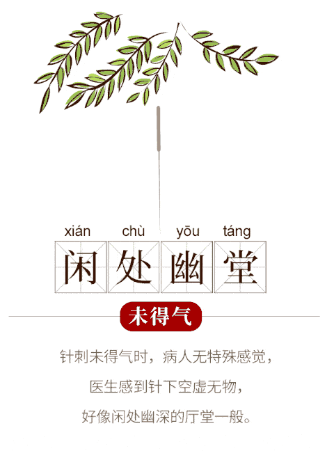 480_648竖版 竖屏gif 动态图 动图