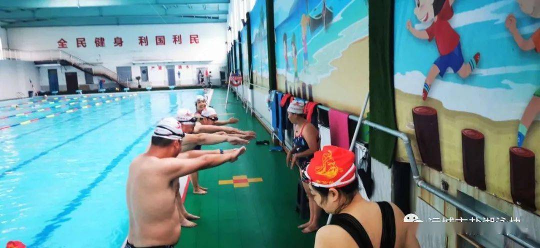 游泳|为时并不晚成年人学游泳