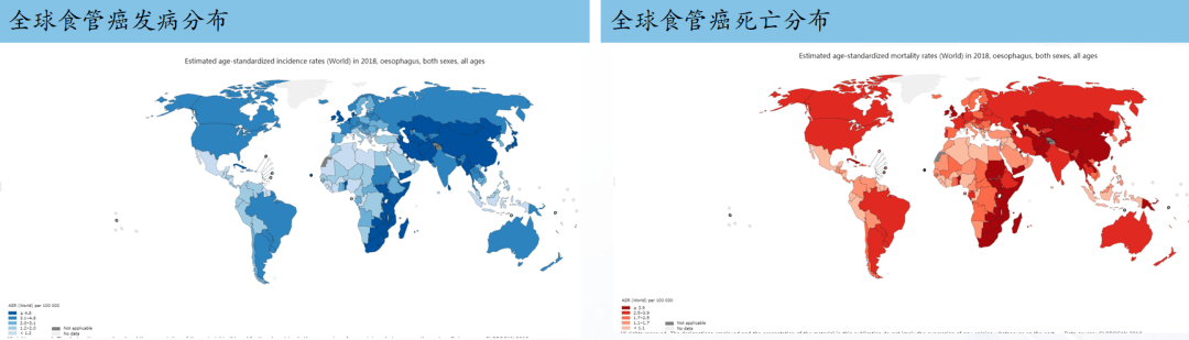 中国食管癌五年生存率已高于美国!如何预防?