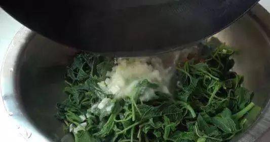 fa1d05314219468aac1ecaefbd2ef1a3.jpeg