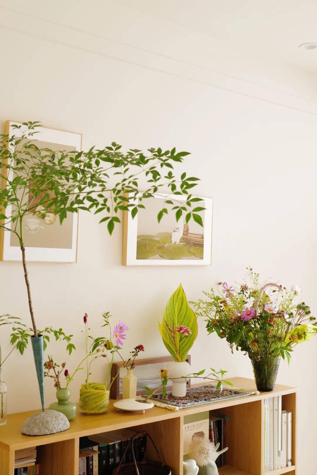 植物|她们的家，美得很让人种草