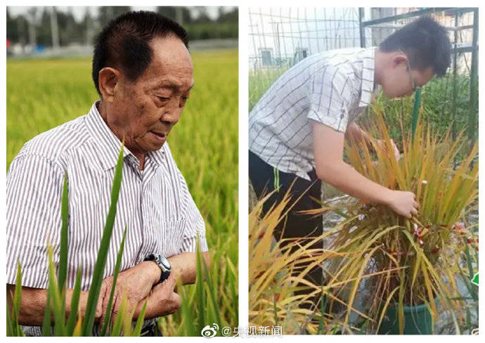 张胥磊|偶像的力量有多强大？网友：星河滚烫，你就是理想！