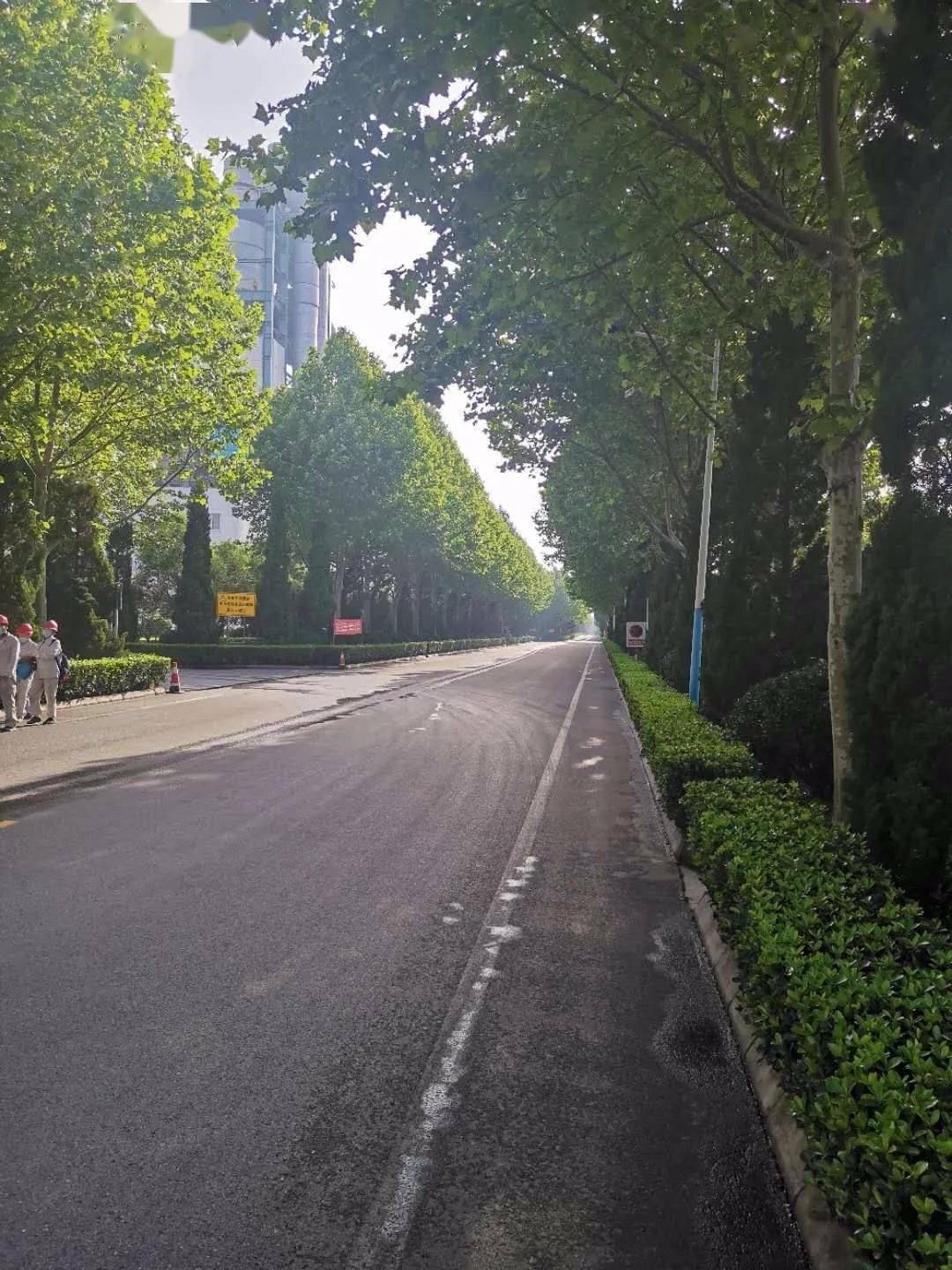 龙口招人口吗_龙口粉丝