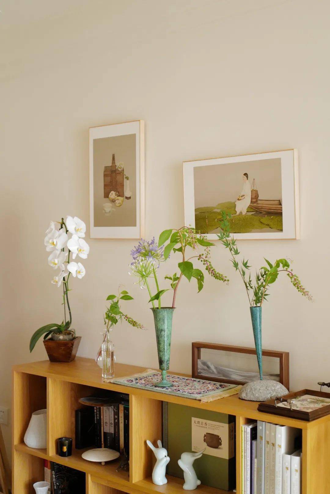 植物|她们的家，美得很让人种草