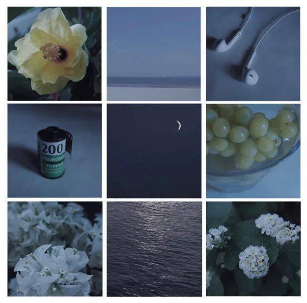 美的|10 款超美的 VSCO 调色滤镜，怎么用都好看！