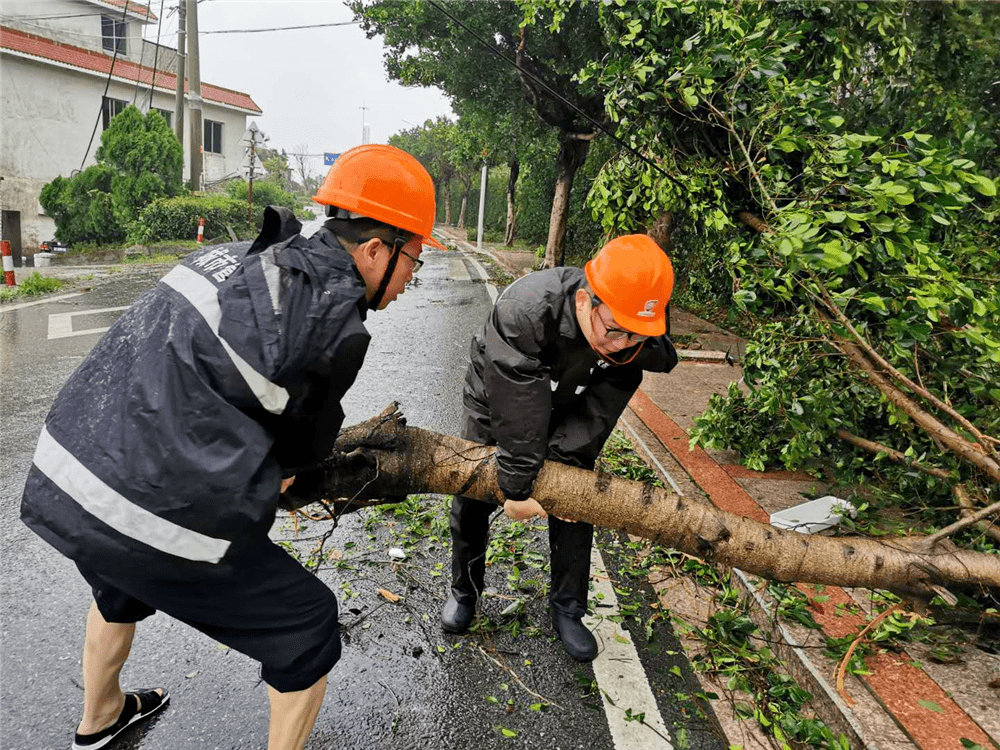 洞头区人口多少_温州市洞头区海霞村(3)