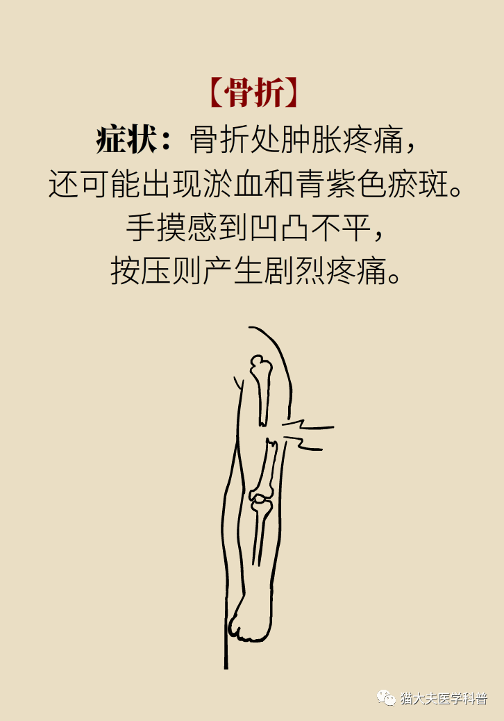 b02be36822894009ae323d01bd4bde63.png