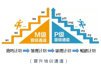 龙城招聘_龙城购物广场丨 招聘啦(4)