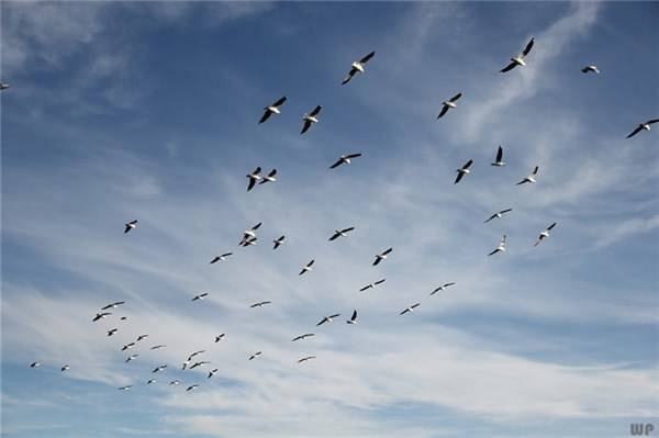 生活|励志语录｜10句早安励志短句送给大家，句句阳光正能量！