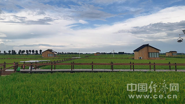 内蒙古兴安盟扎赉特旗好力保镇的"稻梦星空"木屋民宿(经济日报-中国