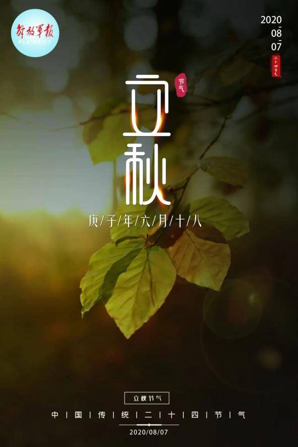 夏渐|海报 | 今日立秋