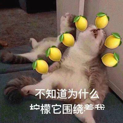 早茶|录取通知书也有“盲盒”！开箱视频惊了 | 早茶时间