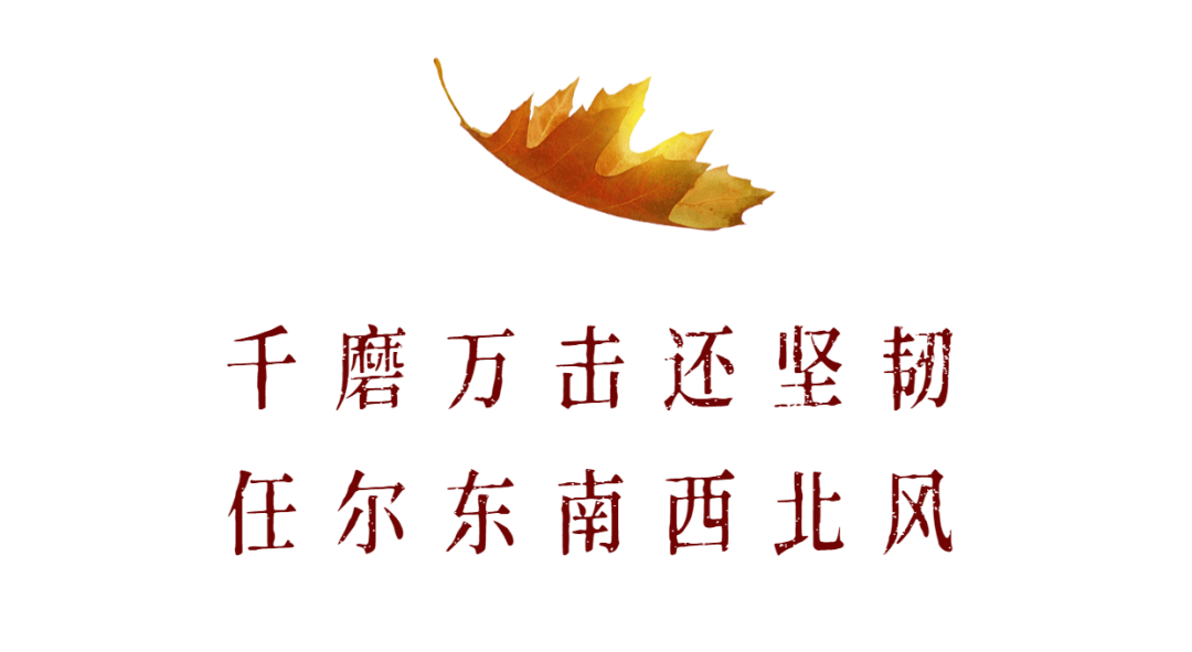 2020观海卫镇GDP_观海卫镇戚继光图片(2)