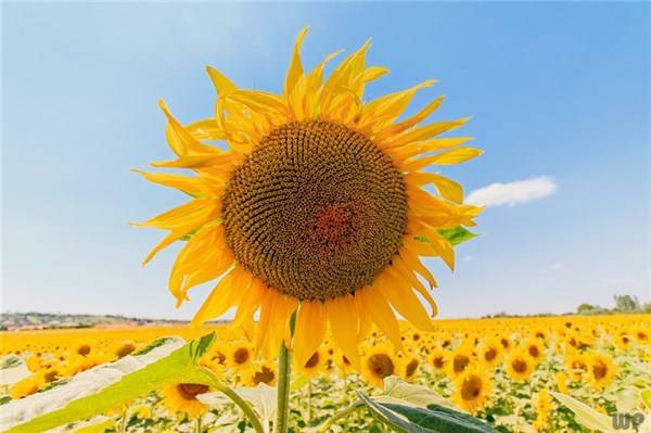 福气|人到中年，学会避开以下3种苦，福气自来余生更幸福！