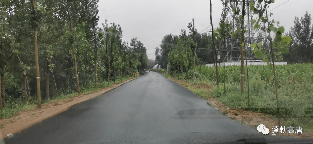 梦境中的宁静守望，雨中山洪未伤人房，我站在彼岸静观