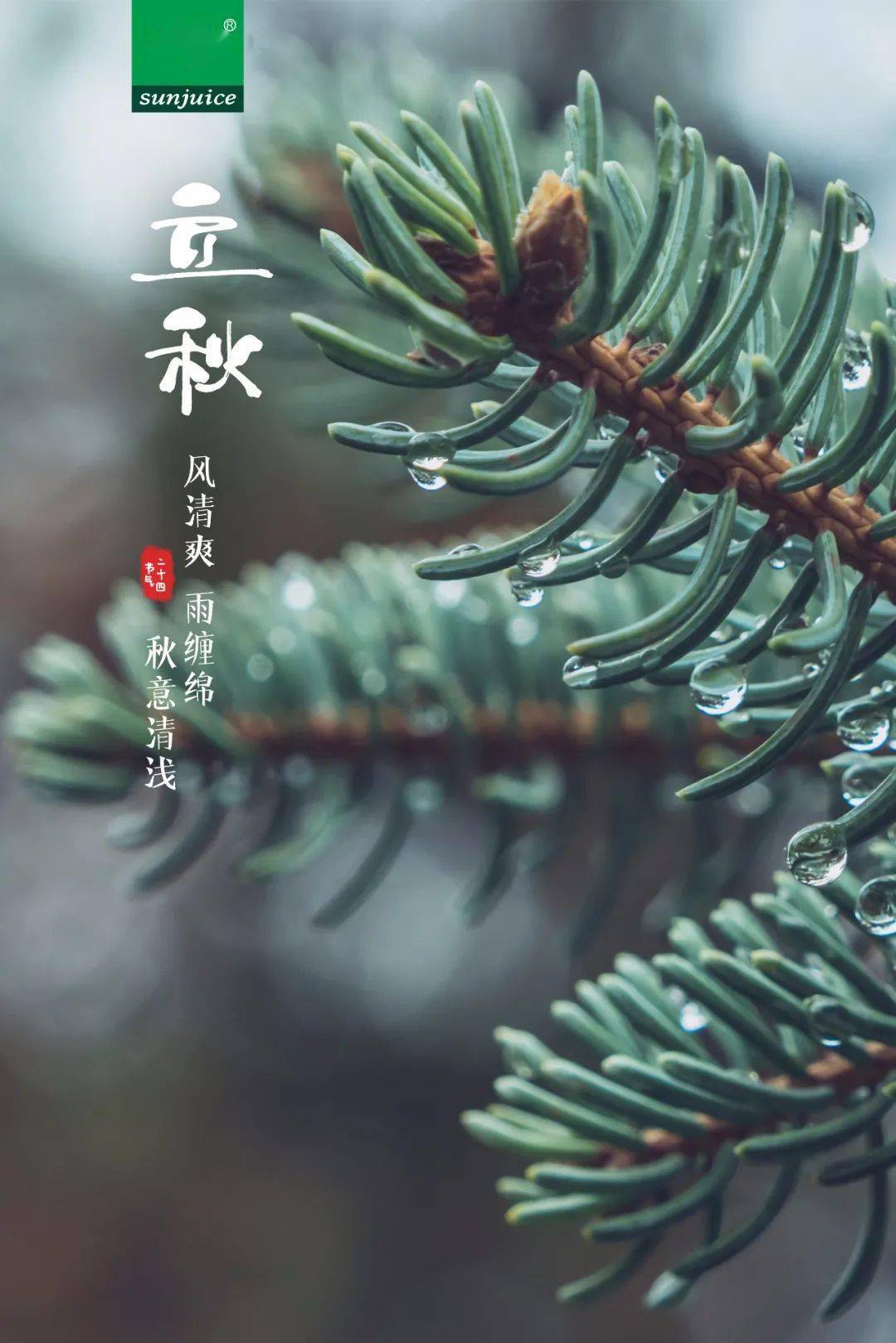 听说美好,你是翘首以盼的惊喜