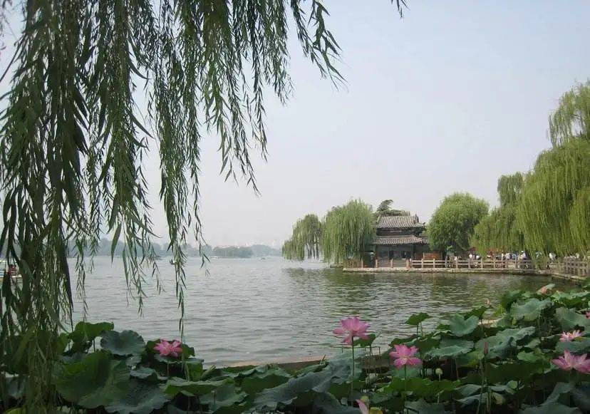 山东|10天，7000万+！你还在等什么