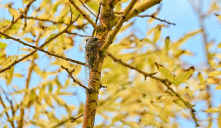季节|镜头：今日立秋！季节换了名字，依旧风光如故！